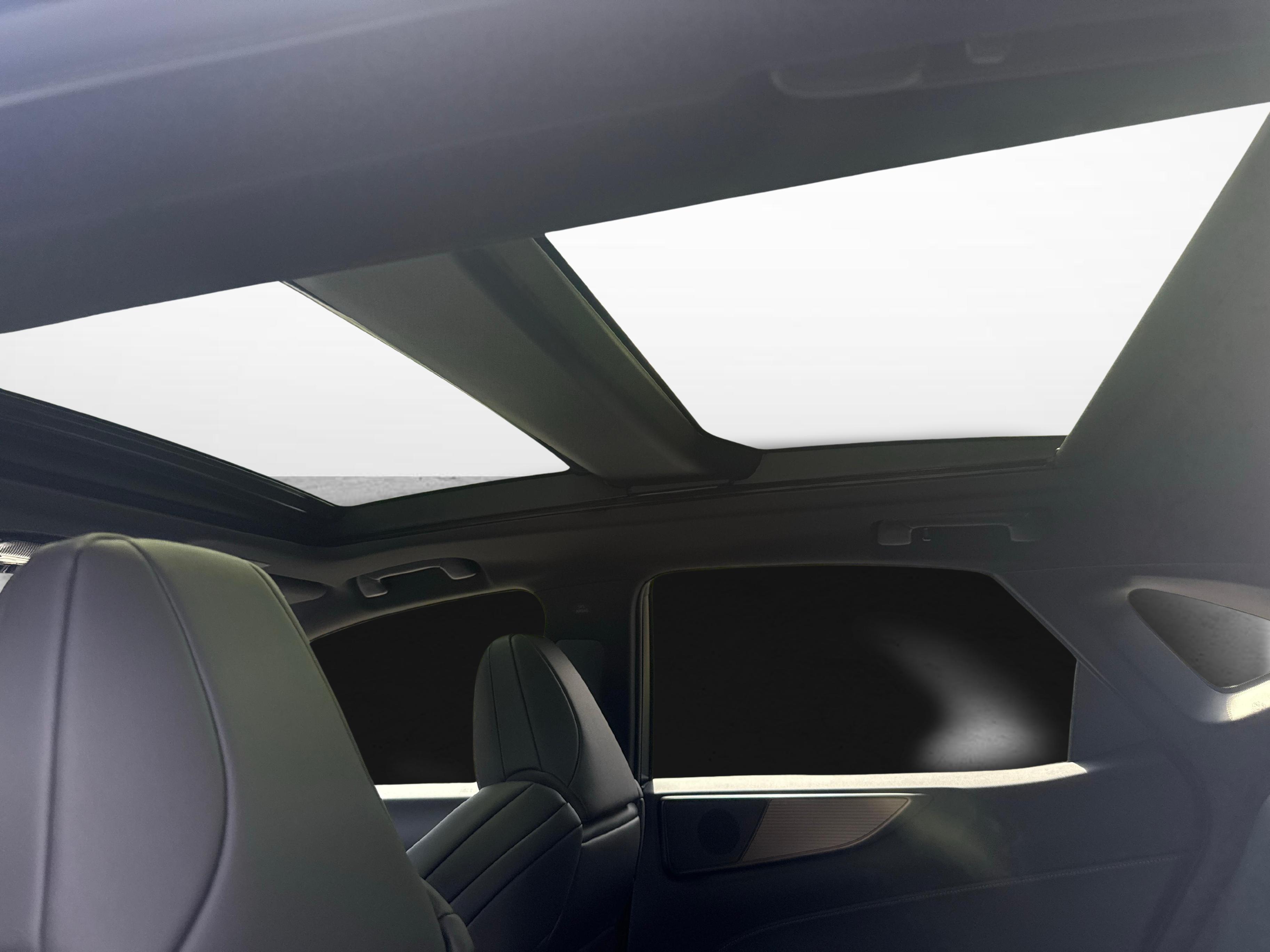 LEXUS NX 450h+ F-Sport_13