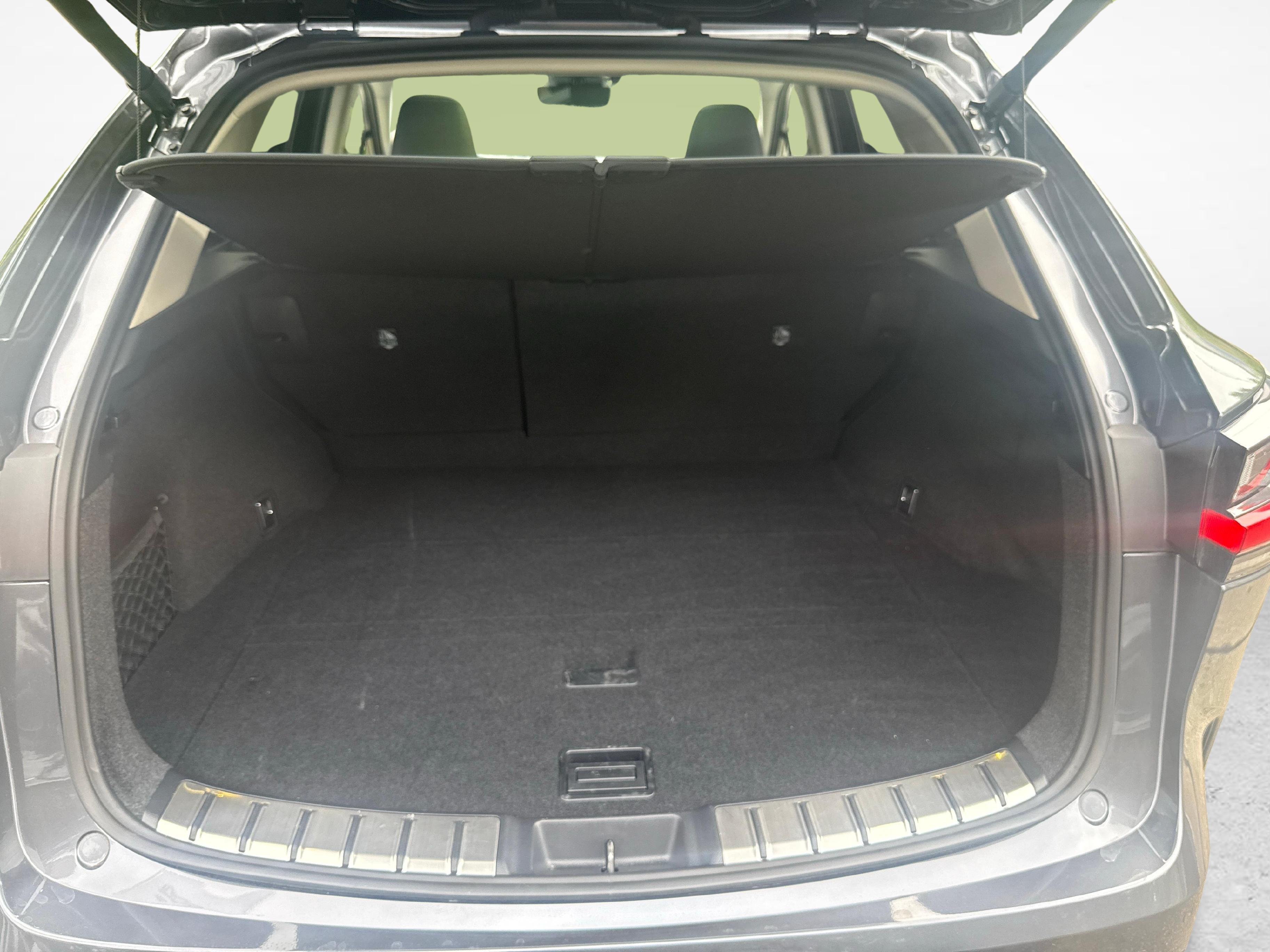 LEXUS NX 450h+ Excellence_12