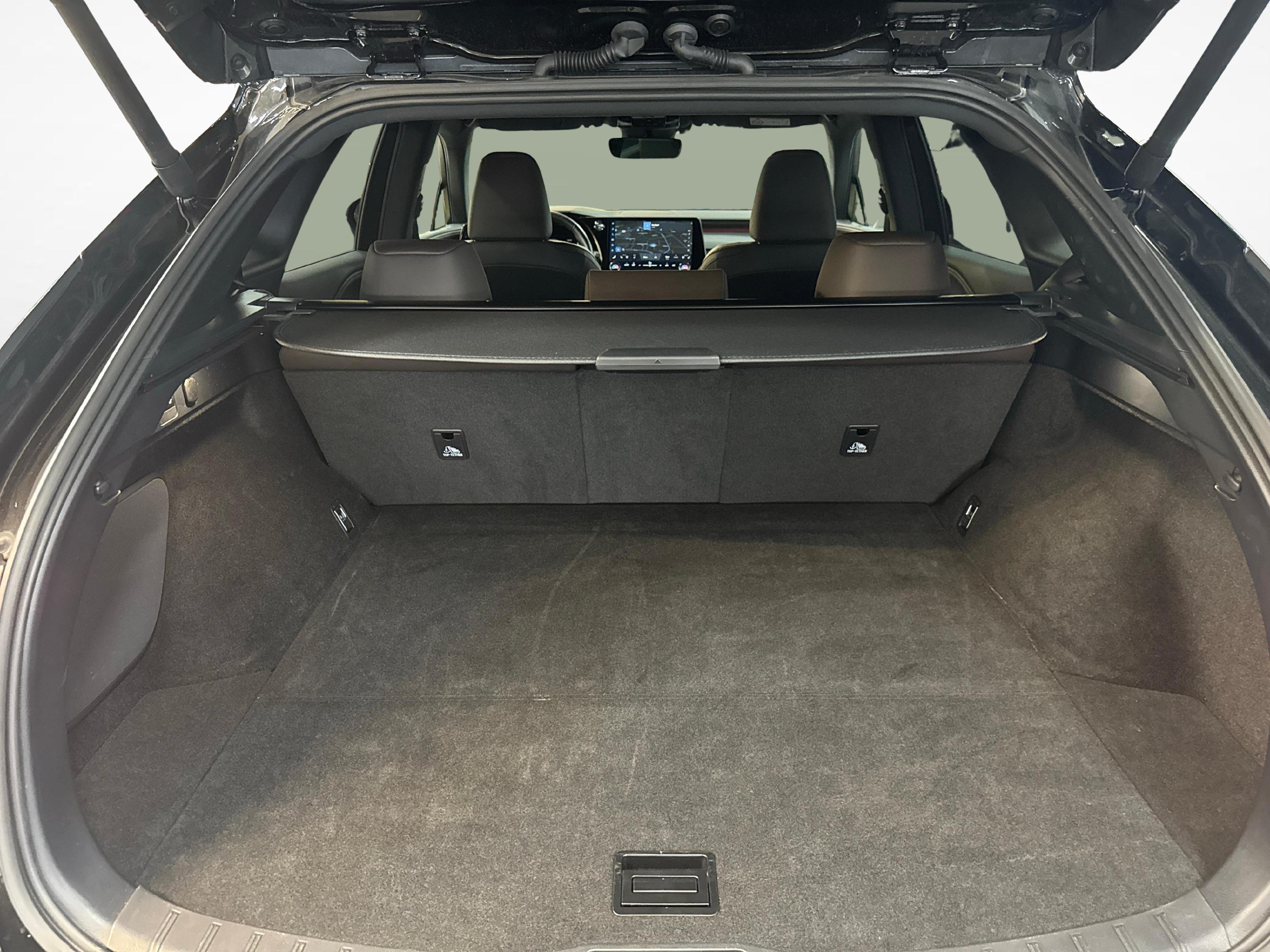 LEXUS RX 350h F-Line_12