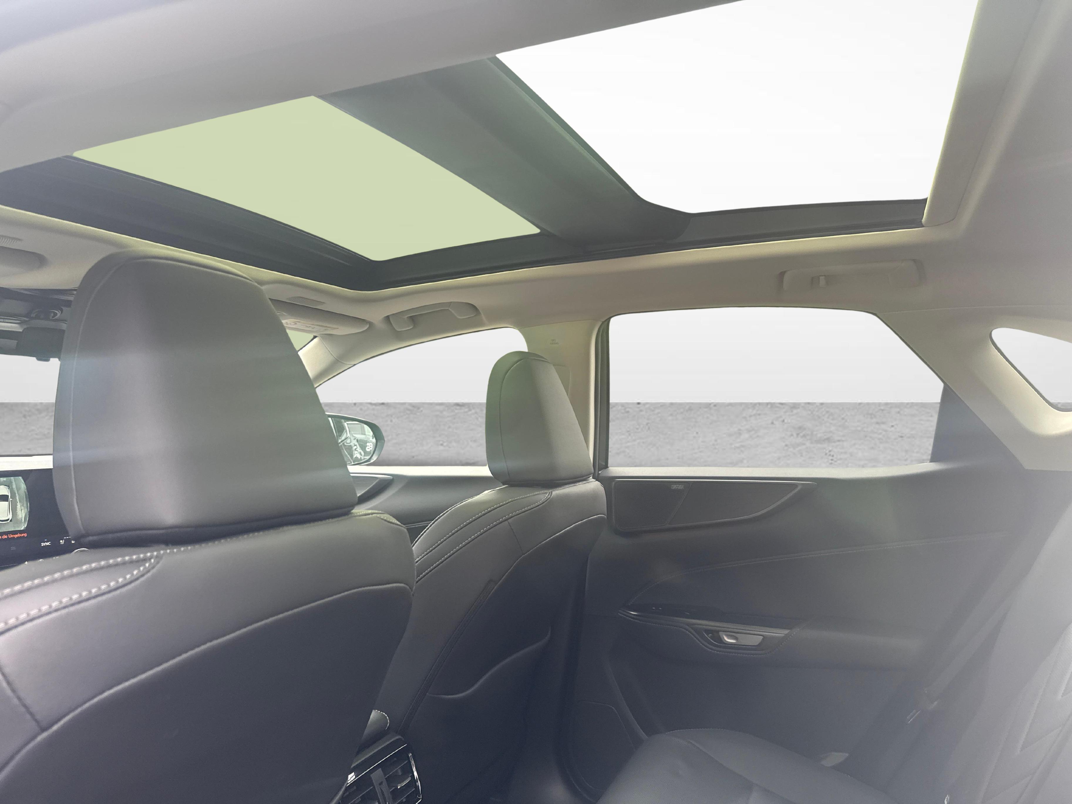 LEXUS NX 450h+ Excellence_13